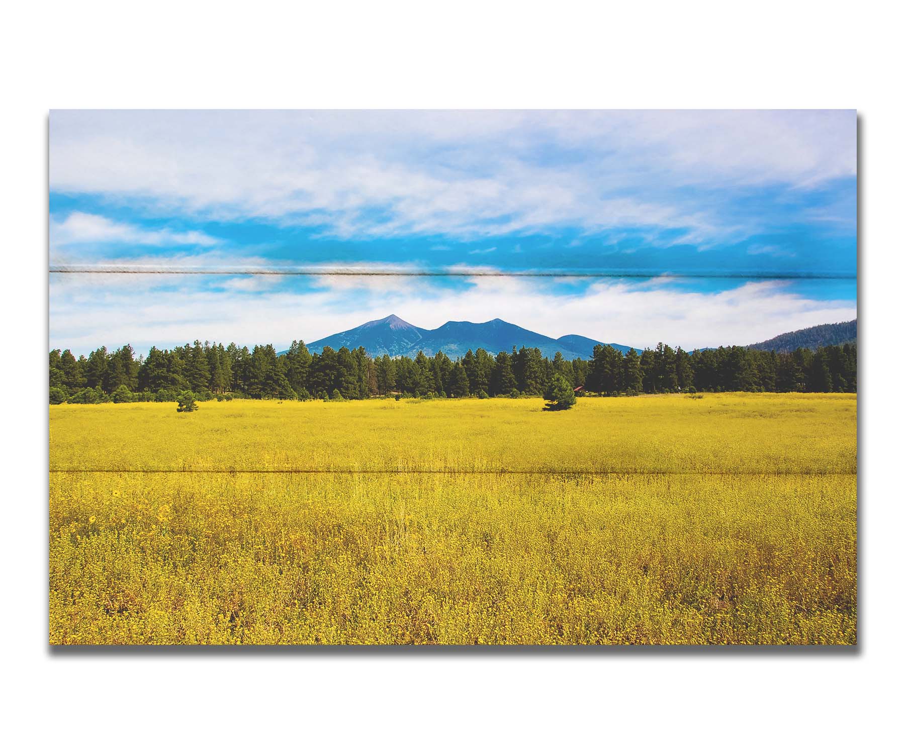 A photograph of the San Francisco Peaks in Arizona as seen from a golden meadow below. The composition creates layers of color, from the white clouds above, to the blue sky and mountains, to the green forest, and lastly to the yellow meadow. Printed on a box board.