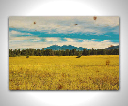 A photograph of the San Francisco Peaks in Arizona as seen from a golden meadow below. The composition creates layers of color, from the white clouds above, to the blue sky and mountains, to the green forest, and lastly to the yellow meadow. Printed on a wood pallet.