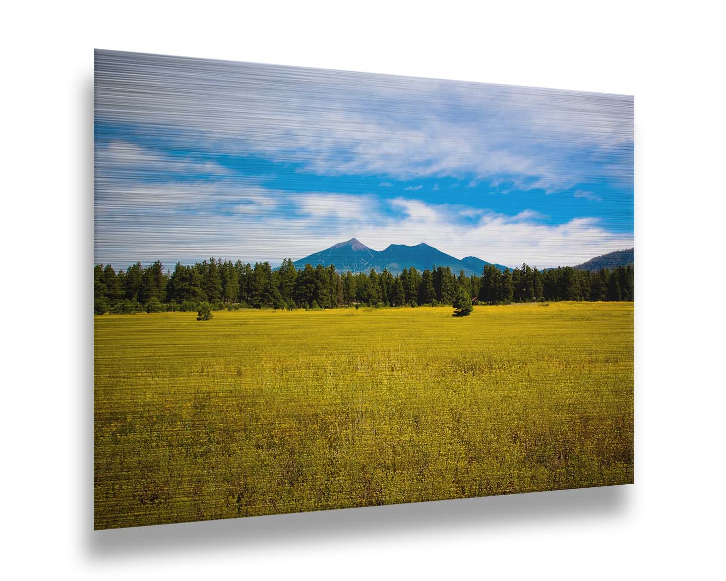 A photograph of the San Francisco Peaks in Arizona as seen from a golden meadow below. The composition creates layers of color, from the white clouds above, to the blue sky and mountains, to the green forest, and lastly to the yellow meadow. Printed on metal.