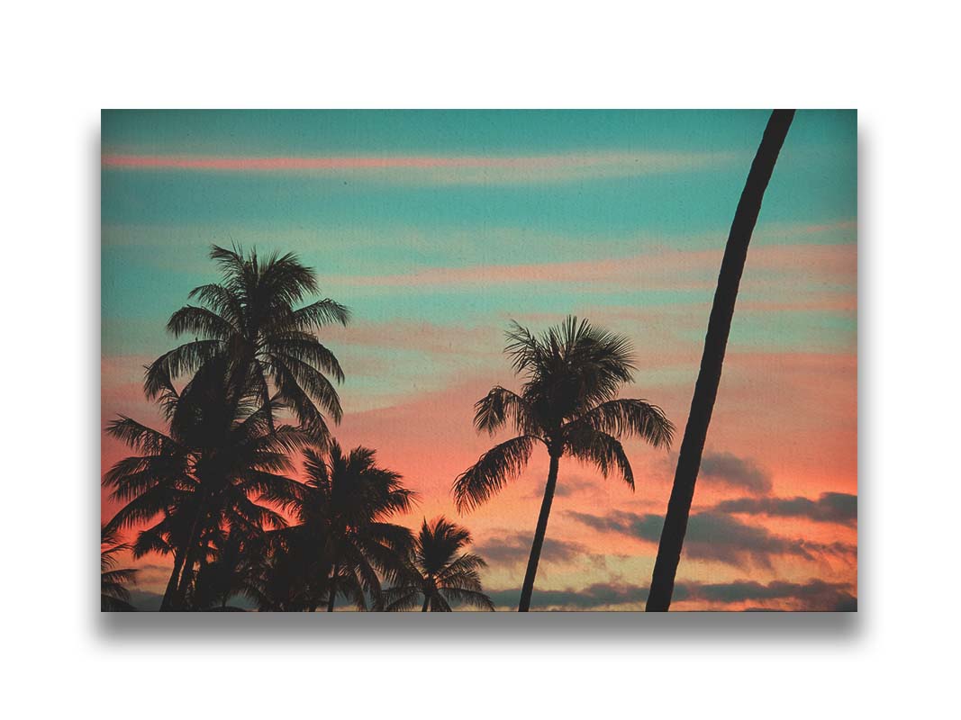 A photograph of Hawaiʻian palm trees, sihouetted against a sunset sky in orange, pink, and blue. Printed on canvas.