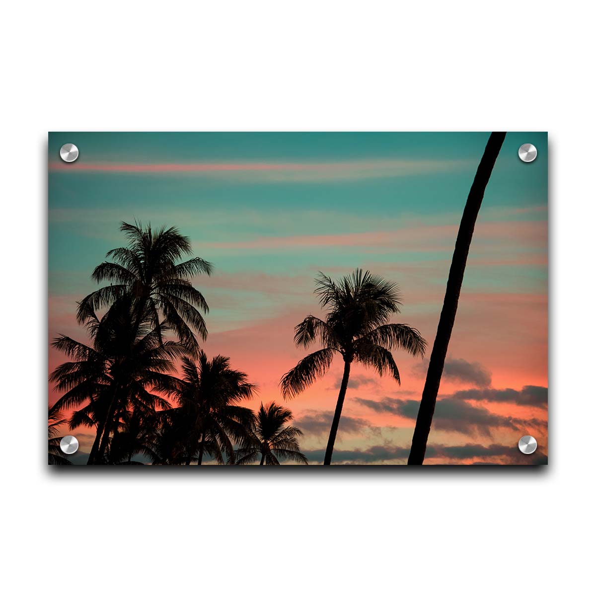 A photograph of Hawaiʻian palm trees, sihouetted against a sunset sky in orange, pink, and blue. Printed on acrylic.