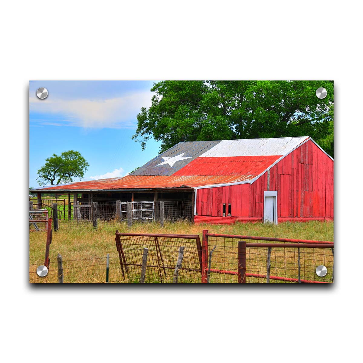 A photograph of a red barn, with a Texas flag painted on the roof. It is surrounded by red ranch fences and grassy fields. Printed on acrylic.