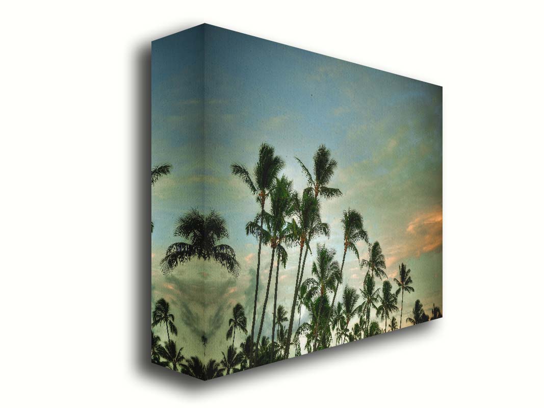 A photograph of palm trees against a partly cloudy sky. The sun is low in the sky, reflecting warm light onto the clouds. Printed on canvas.