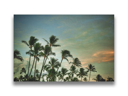 A photograph of palm trees against a partly cloudy sky. The sun is low in the sky, reflecting warm light onto the clouds. Printed on canvas.