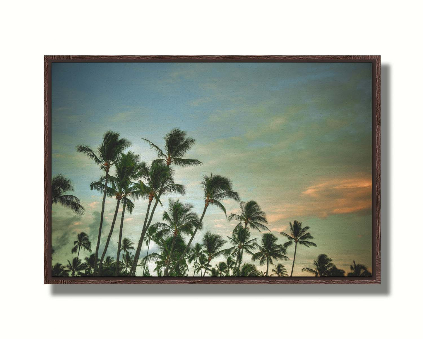 A photograph of palm trees against a partly cloudy sky. The sun is low in the sky, reflecting warm light onto the clouds. Printed on canvas in a float frame.