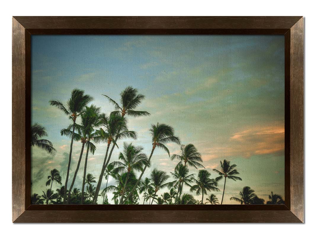 A photograph of palm trees against a partly cloudy sky. The sun is low in the sky, reflecting warm light onto the clouds. Printed on canvas and framed.