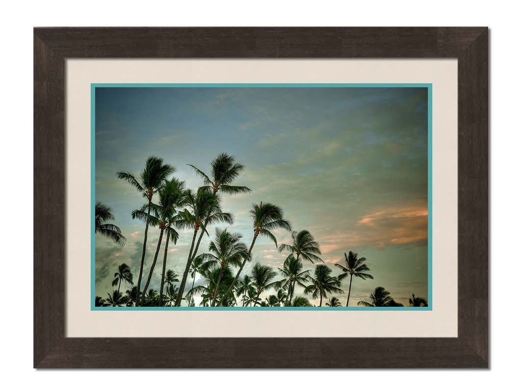 A photograph of palm trees against a partly cloudy sky. The sun is low in the sky, reflecting warm light onto the clouds. Printed on paper, matted, and framed.