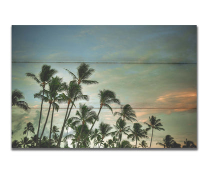 A photograph of palm trees against a partly cloudy sky. The sun is low in the sky, reflecting warm light onto the clouds. Printed on a box board.