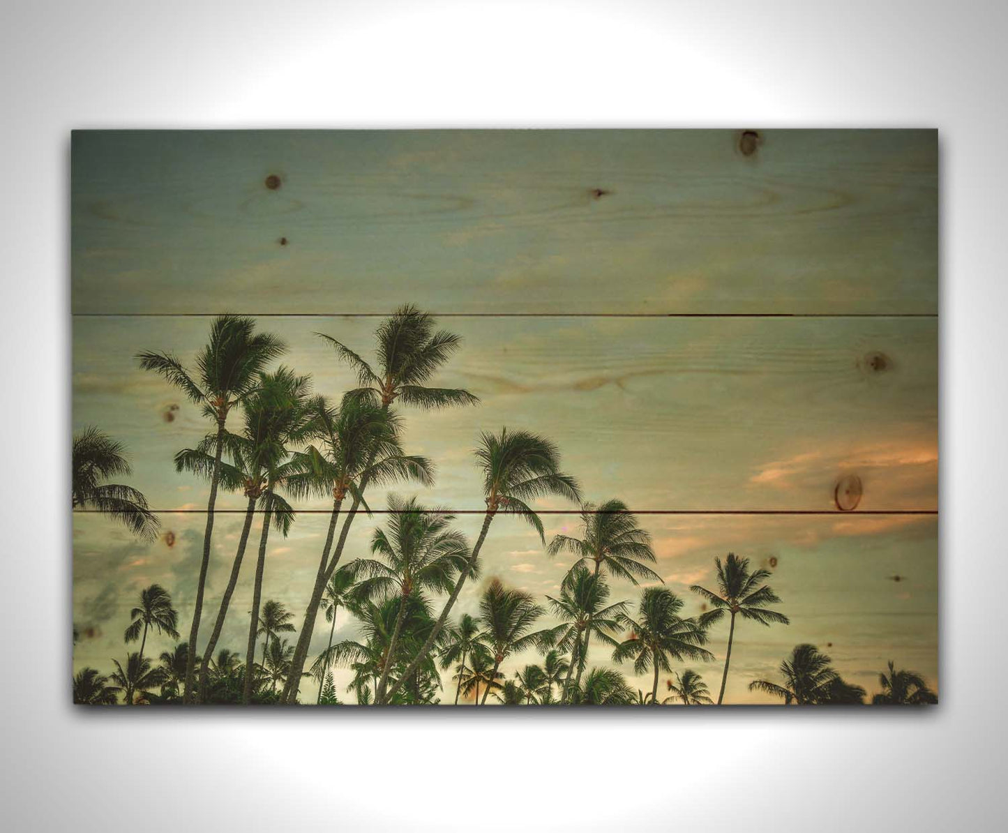 A photograph of palm trees against a partly cloudy sky. The sun is low in the sky, reflecting warm light onto the clouds. Printed on a wood pallet.