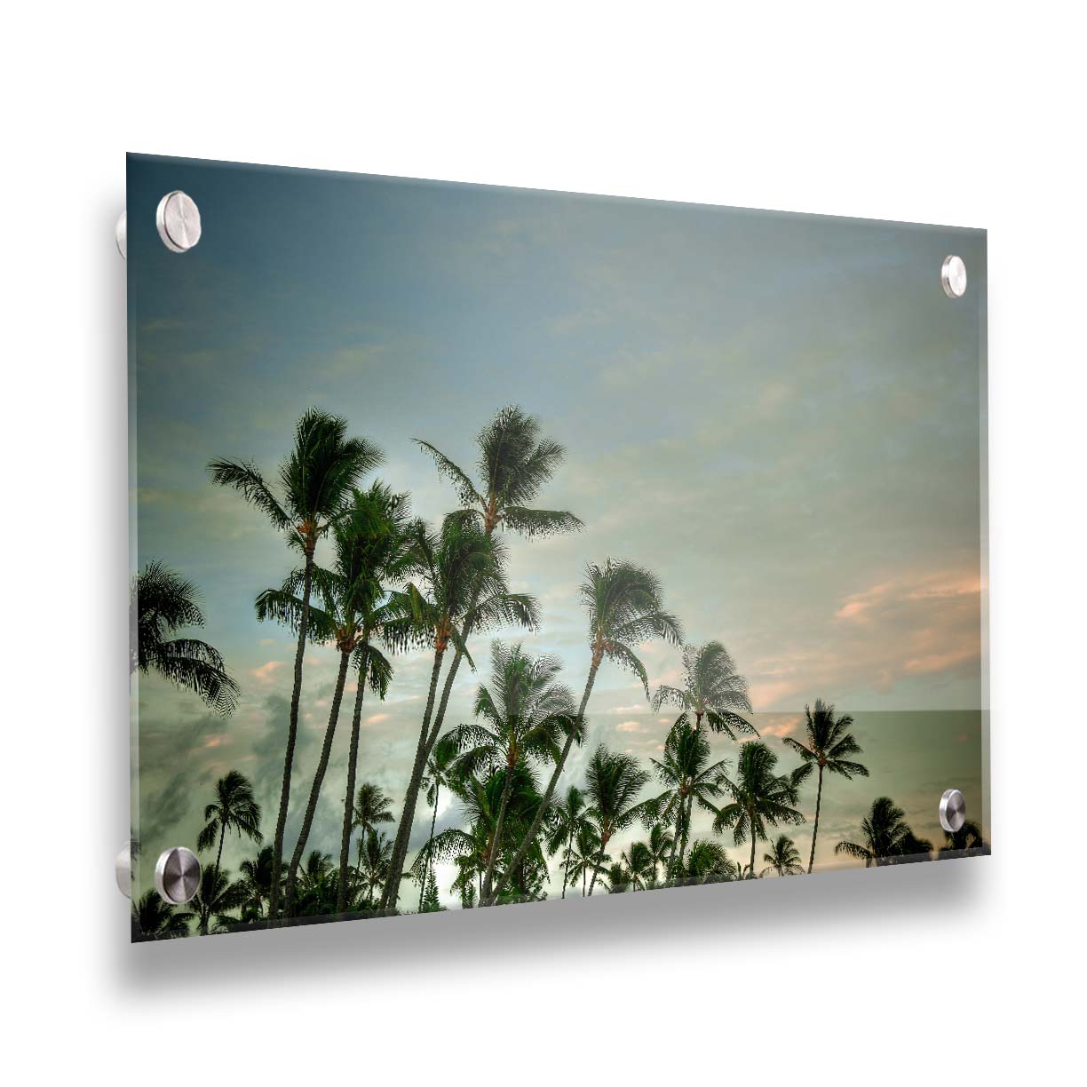 A photograph of palm trees against a partly cloudy sky. The sun is low in the sky, reflecting warm light onto the clouds. Printed on acrylic.