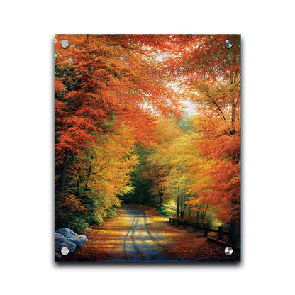 A painting of a road winding through a forest during fall. The red, orange, and yellow leaves shed to the ground, lining the road. Printed on acrylic.