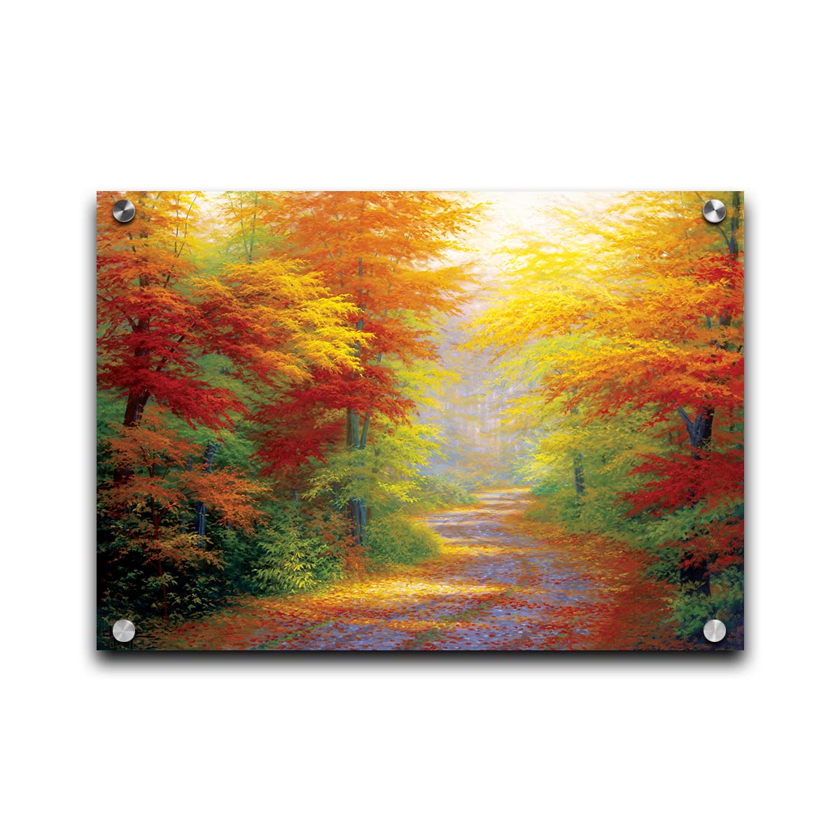 A painting of a road winding through a forest during fall. The green, yellow, red, and orange foliage and trees shed leaves that line the path. Printed on acrylic.