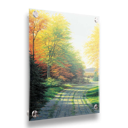 A painting looking down a country road, lined with both deciduous and coniferous trees. Several of the trees' leaves have turned orange and yellow due to the fall season. Printed on acrylic.