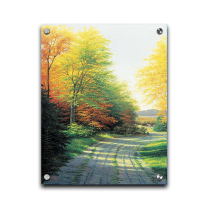 A painting looking down a country road, lined with both deciduous and coniferous trees. Several of the trees' leaves have turned orange and yellow due to the fall season. Printed on acrylic.