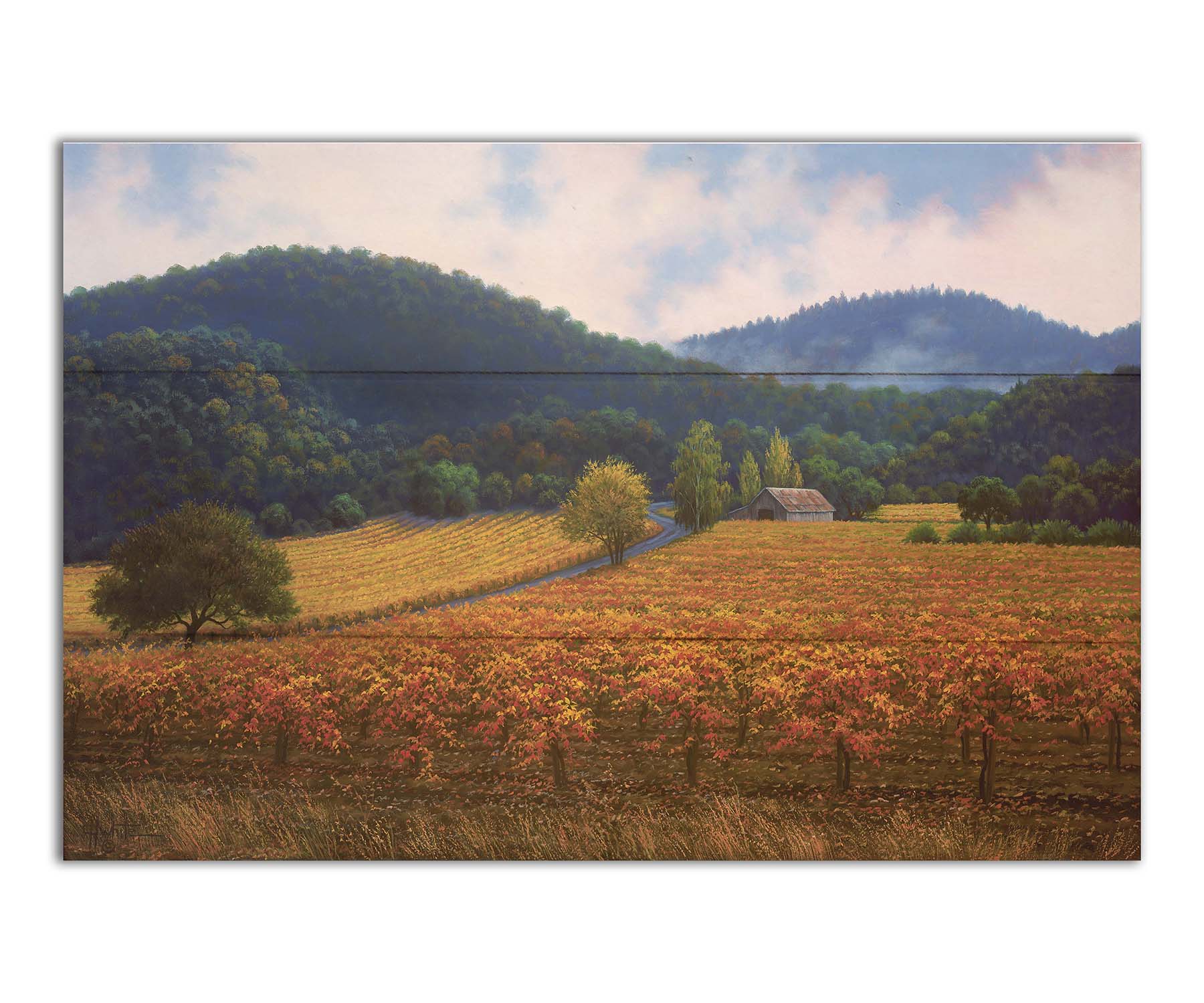 A painting of expansive vineyard fields, turned yellow, red, and orange for the fall. Rolling hills of forests fill the background. Printed on a box board.