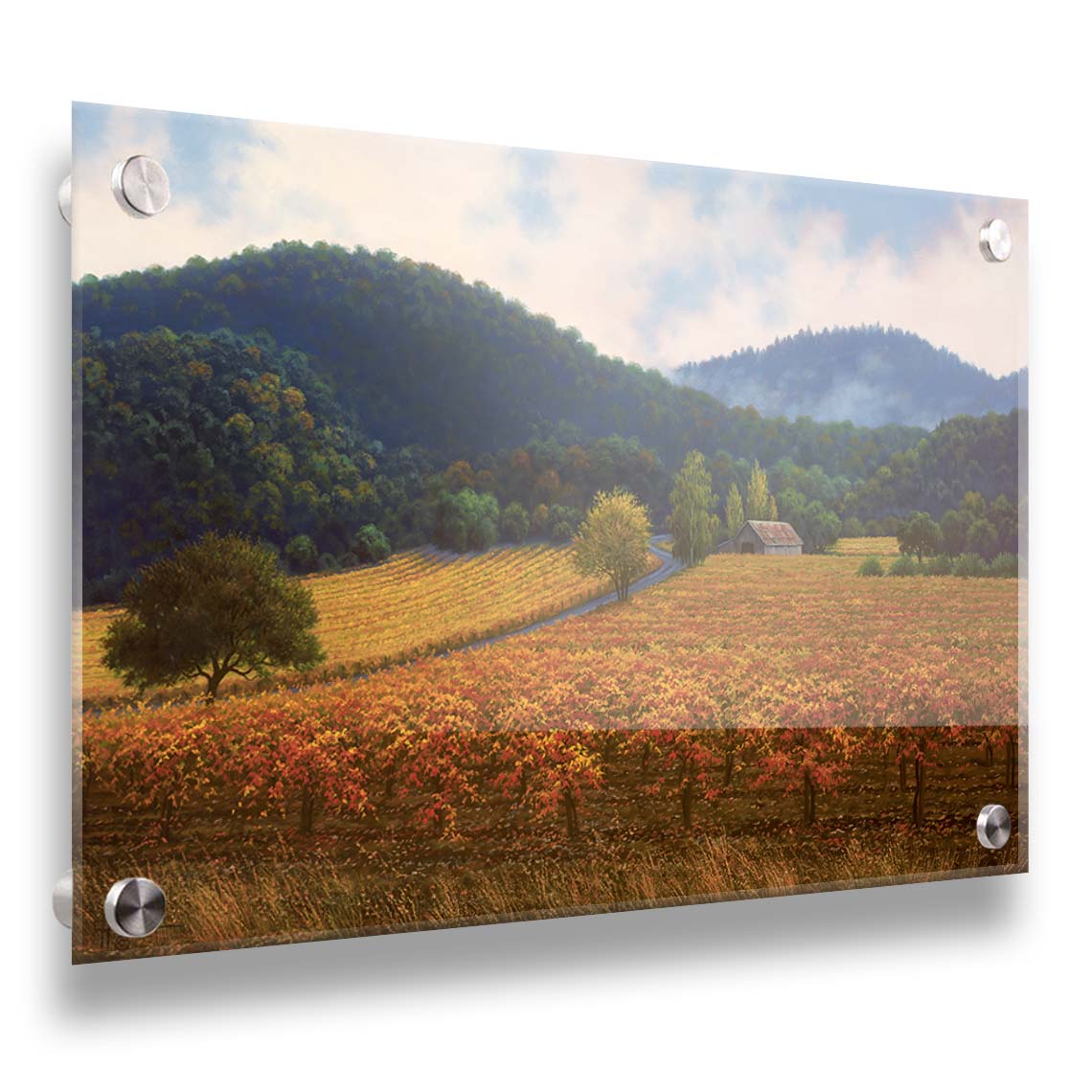 A painting of expansive vineyard fields, turned yellow, red, and orange for the fall. Rolling hills of forests fill the background. Printed on acrylic.