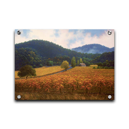 A painting of expansive vineyard fields, turned yellow, red, and orange for the fall. Rolling hills of forests fill the background. Printed on acrylic.