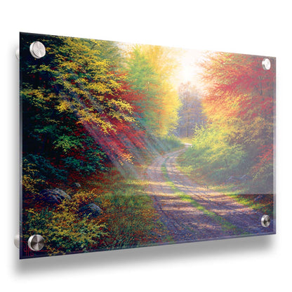 A landscape painting of a gravel road winding thorugh an autumn forest with a mix of vibrant red, yellow, and green leaves. Printed on acrylic.