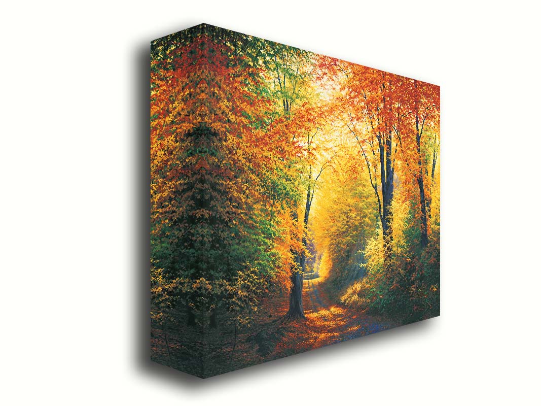 A painting of a path through an autumn forest, with sunlight highlighting the golden yellow and orange leaves of the trees. Printed on canvas.