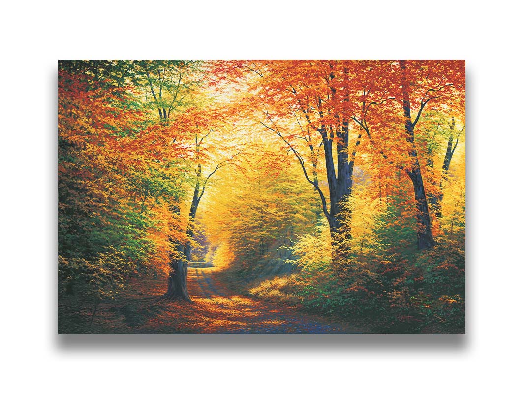 A painting of a path through an autumn forest, with sunlight highlighting the golden yellow and orange leaves of the trees. Printed on canvas.