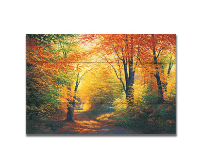 A painting of a path through an autumn forest, with sunlight highlighting the golden yellow and orange leaves of the trees. Printed on a box board.