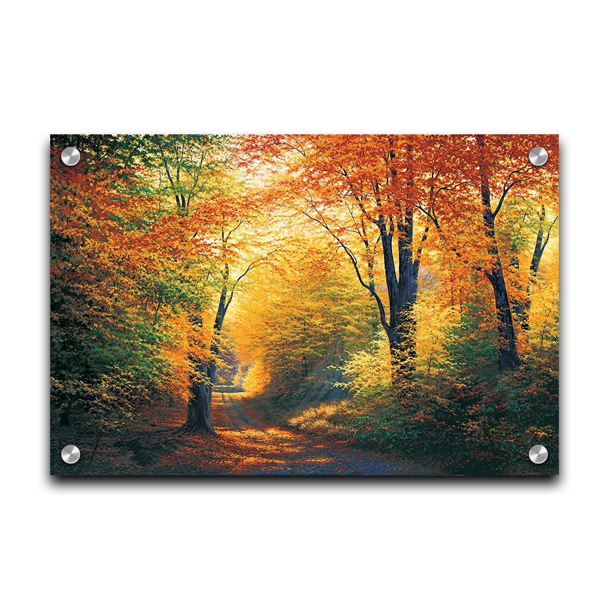 A painting of a path through an autumn forest, with sunlight highlighting the golden yellow and orange leaves of the trees. Printed on acrylic.