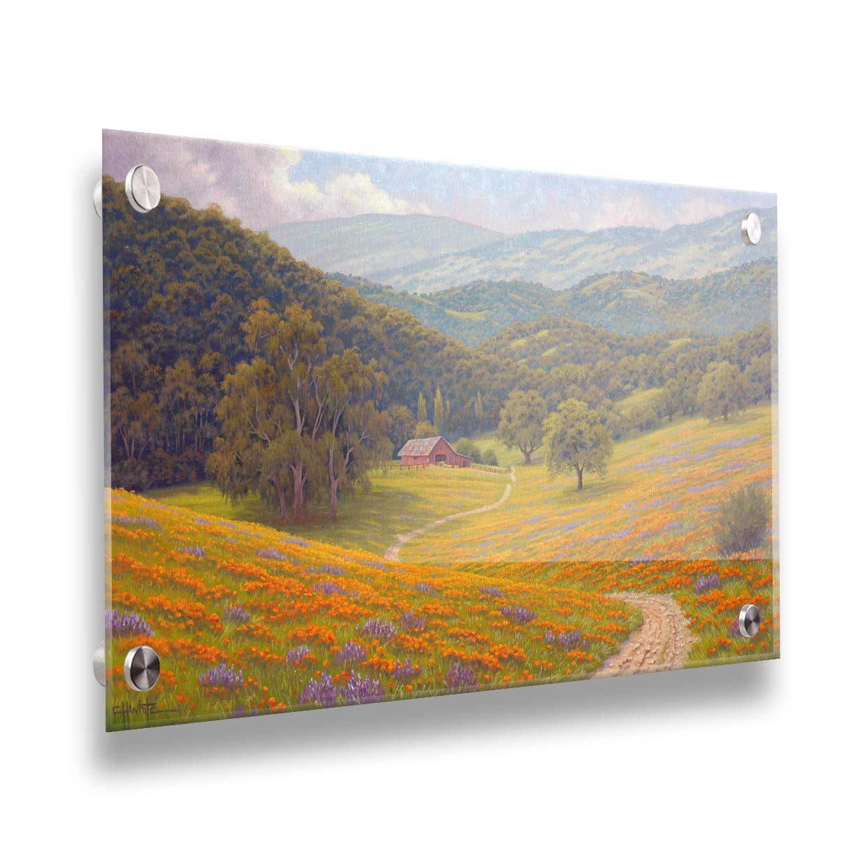 A painting of a grassy field of poppies and lupines on a hilly landscape. A path leads down to a red barn at the edge of a forest. Printed on acrylic.