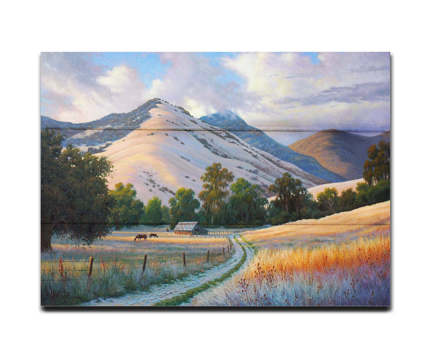 A painting of the volcanic hills of the Santa Ynez mountains from the perspective of the valley below. Clouds cast blue shadows between the light on the golden grasses of a field where horses graze. The mountain range reaches up through low clouds in the distance. Printed on a box board.