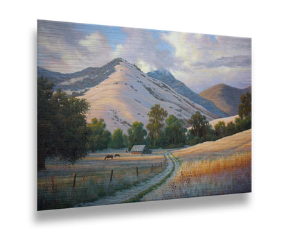 A painting of the volcanic hills of the Santa Ynez mountains from the perspective of the valley below. Clouds cast blue shadows between the light on the golden grasses of a field where horses graze. The mountain range reaches up through low clouds in the distance. Printed on metal.