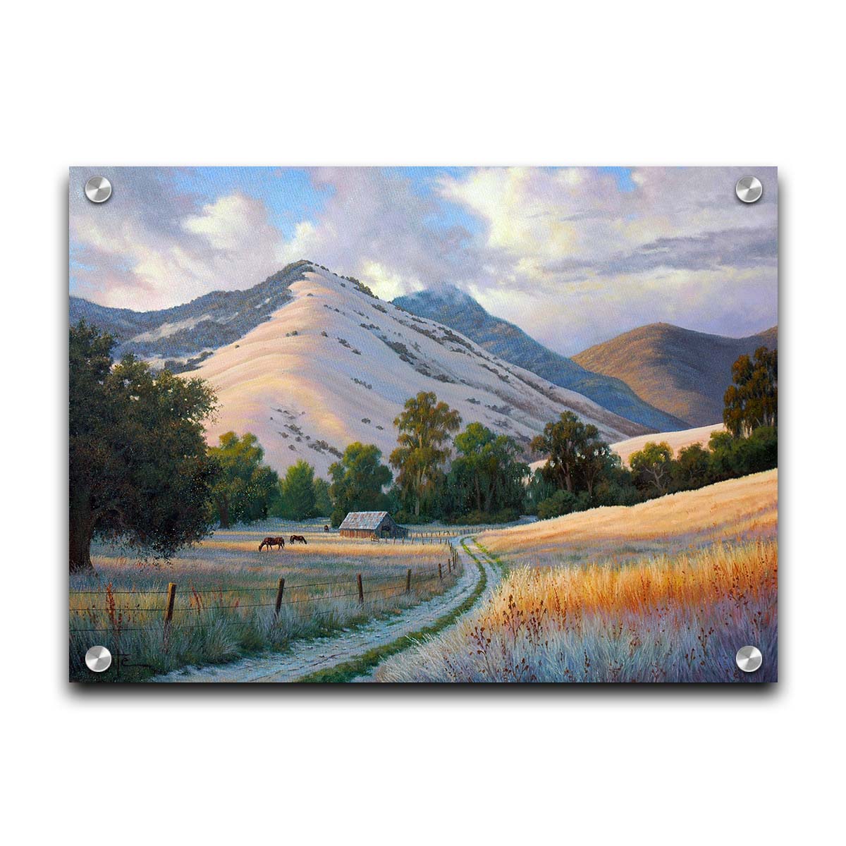 A painting of the volcanic hills of the Santa Ynez mountains from the perspective of the valley below. Clouds cast blue shadows between the light on the golden grasses of a field where horses graze. The mountain range reaches up through low clouds in the distance. Printed on acrylic.