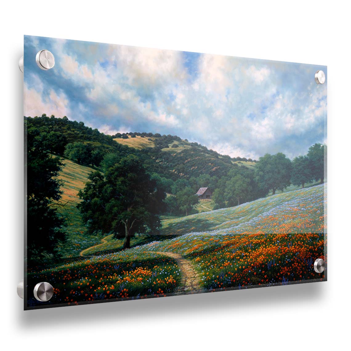 A painting of a hillside meadow of orange and blue flowers. A thin dirt path cuts through the meadow, leading to an old barn in the distance. Printed on acrylic.