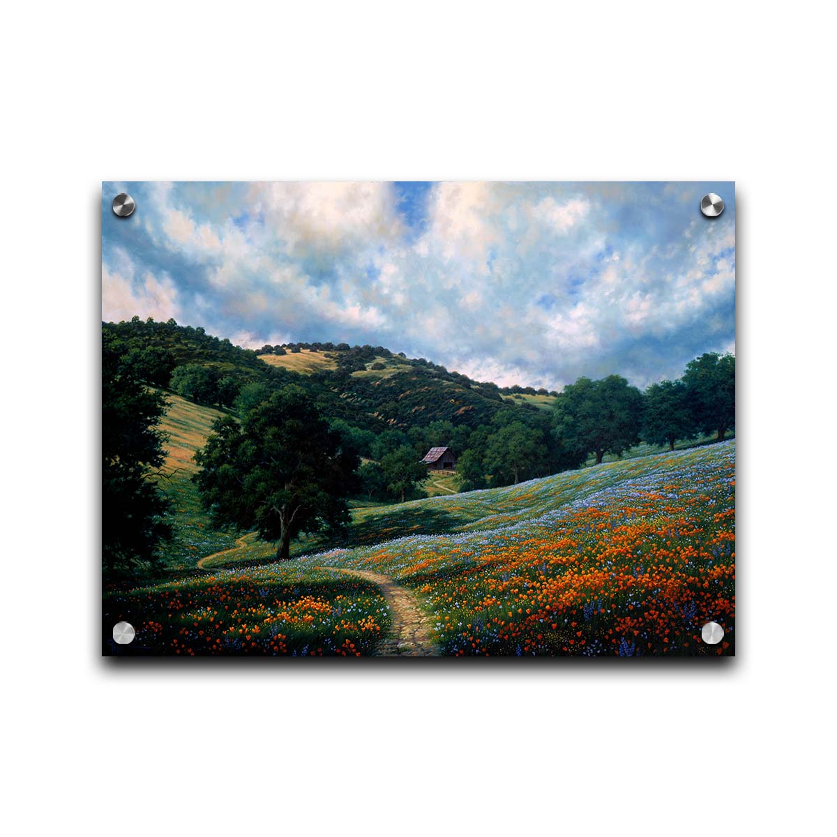 A painting of a hillside meadow of orange and blue flowers. A thin dirt path cuts through the meadow, leading to an old barn in the distance. Printed on acrylic.