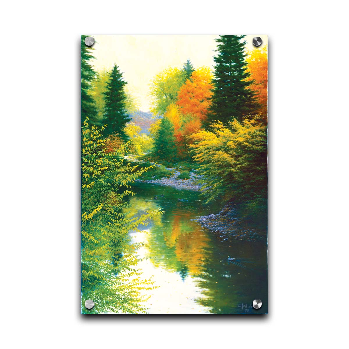 A painting of tranquil water reflecting a forest of orange, yellow, and green trees. A few ducks can be seen swimming on the water. Printed on acrylic.