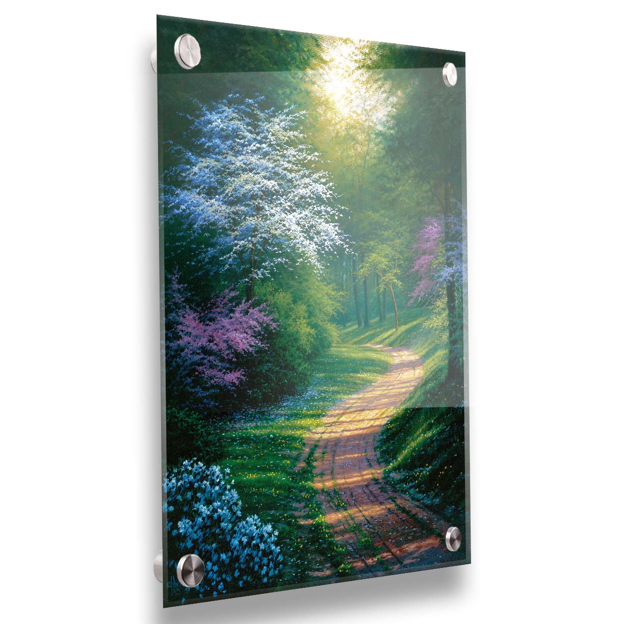 A painting of a dirt path through a wooded area during spring. Trees lining the road bloom in pink and white. Small yellow flowers dot the grass around the path. Printed on acrylic.