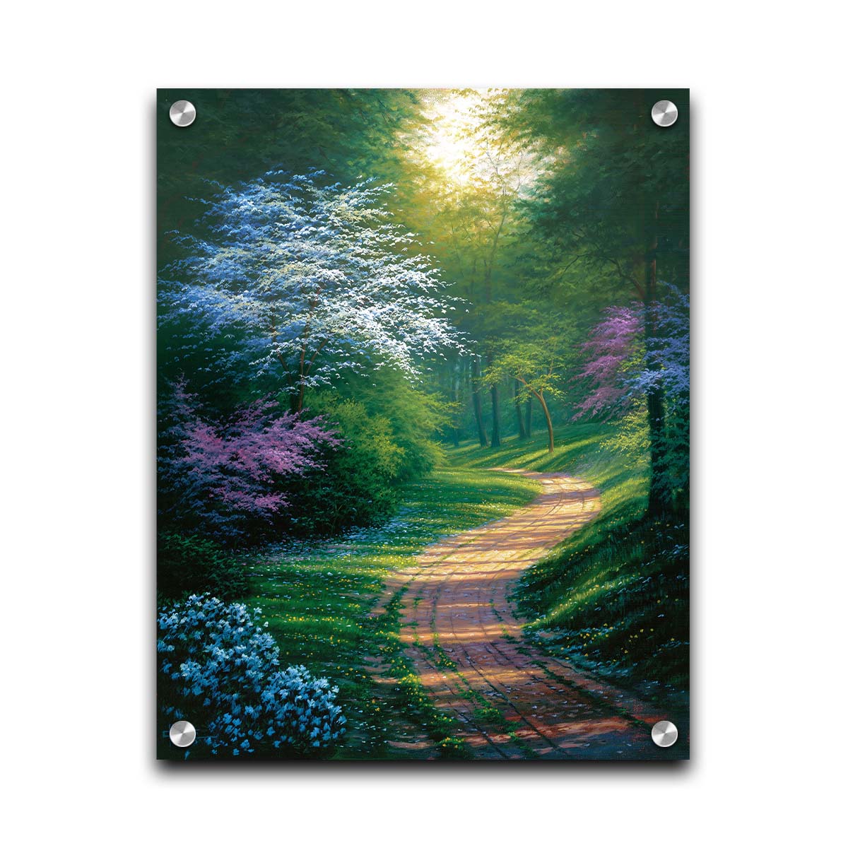 A painting of a dirt path through a wooded area during spring. Trees lining the road bloom in pink and white. Small yellow flowers dot the grass around the path. Printed on acrylic.