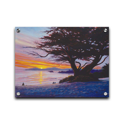 A painting of Carmel Beach, California at sunset, prominently featuring one of their iconic Monterey Cypress trees. Printed on acrylic.