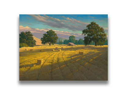 A painting of a field of hay, cut and baled. The vibrant yellows of the grass are highlighted by the warm light of a setting sun. Printed on canvas.