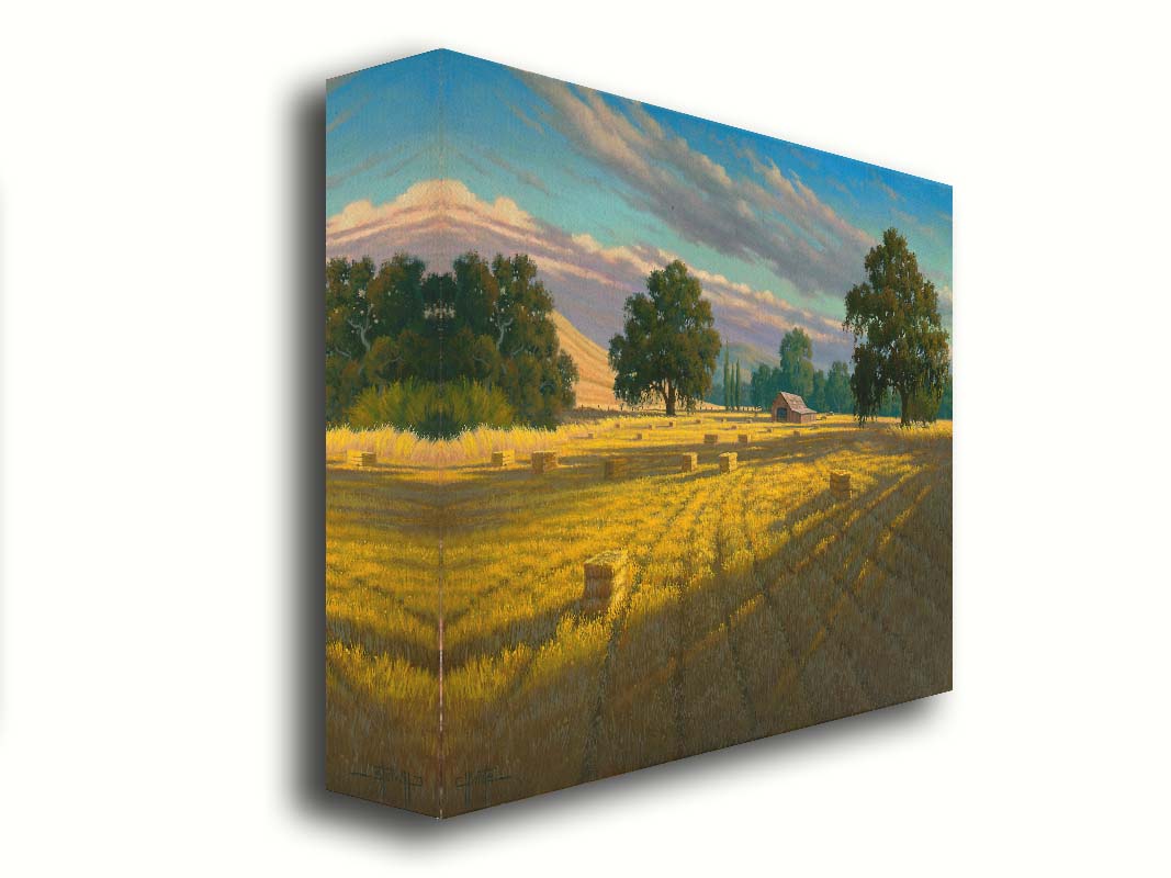 A painting of a field of hay, cut and baled. The vibrant yellows of the grass are highlighted by the warm light of a setting sun. Printed on canvas.