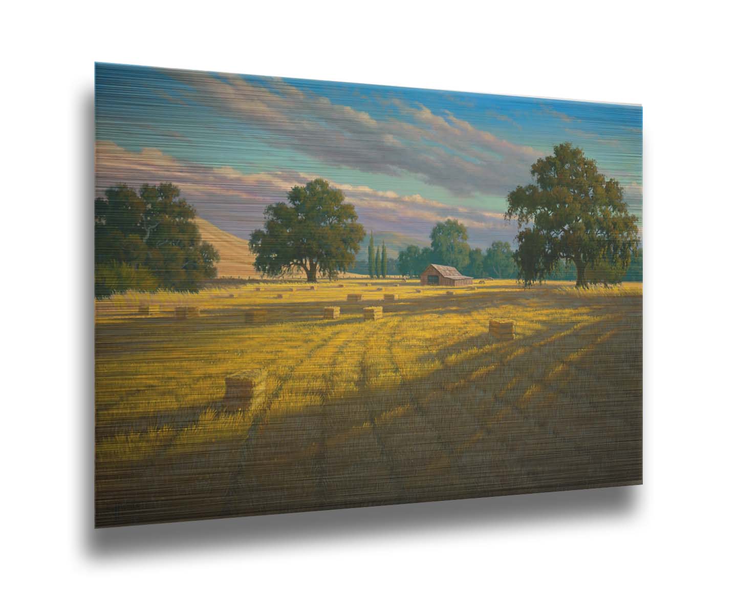 A painting of a field of hay, cut and baled. The vibrant yellows of the grass are highlighted by the warm light of a setting sun. Printed on metal.