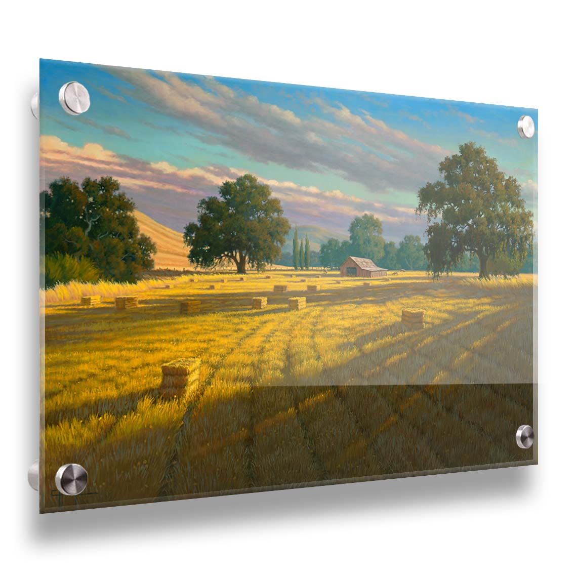 A painting of a field of hay, cut and baled. The vibrant yellows of the grass are highlighted by the warm light of a setting sun. Printed on acrylic.