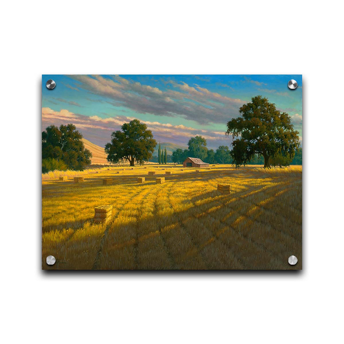 A painting of a field of hay, cut and baled. The vibrant yellows of the grass are highlighted by the warm light of a setting sun. Printed on acrylic.