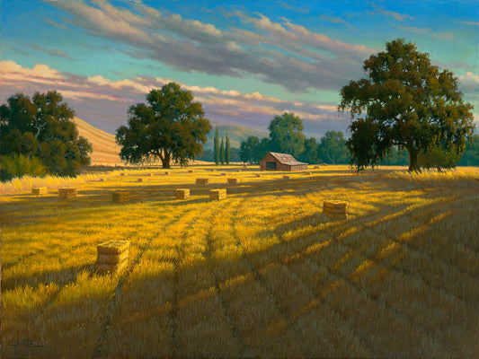 A painting of a field of hay, cut and baled. The vibrant yellows of the grass are highlighted by the warm light of a setting sun.