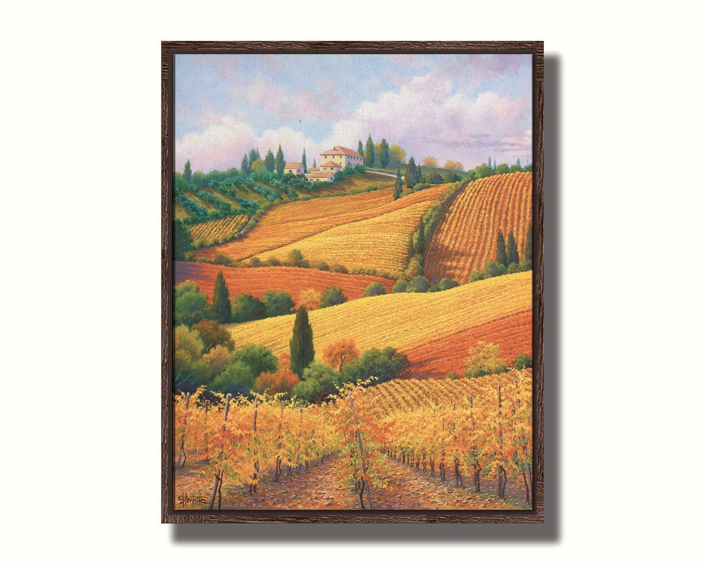 A painting of the Tuscany countryside. All the visible land has been turned eto crop fields, with rows of grape vines in the foreground. On the hills in the distance site a series of white buildings. Printed on canvas in a float frame.