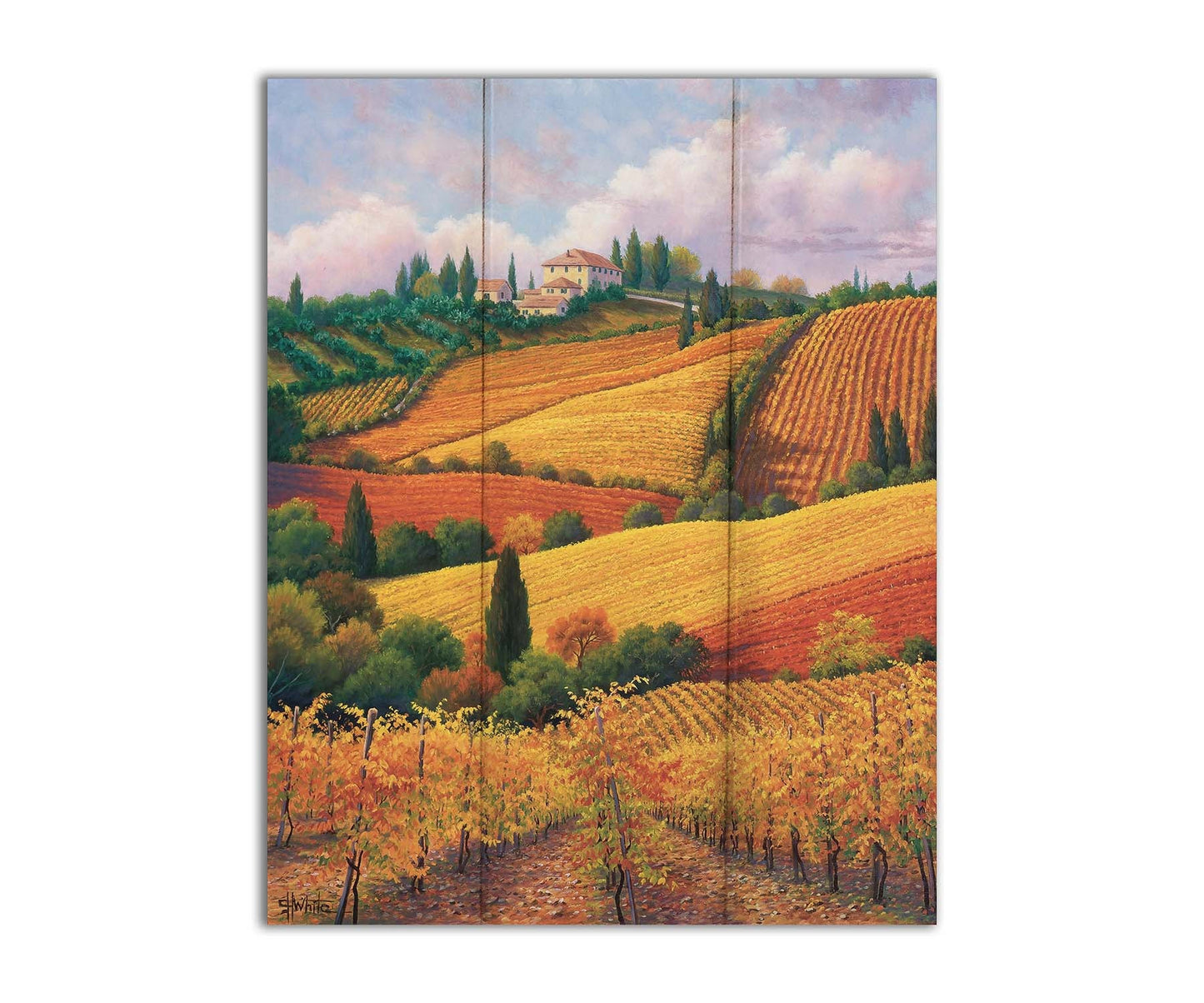 A painting of the Tuscany countryside. All the visible land has been turned eto crop fields, with rows of grape vines in the foreground. On the hills in the distance site a series of white buildings. Printed on a box board.