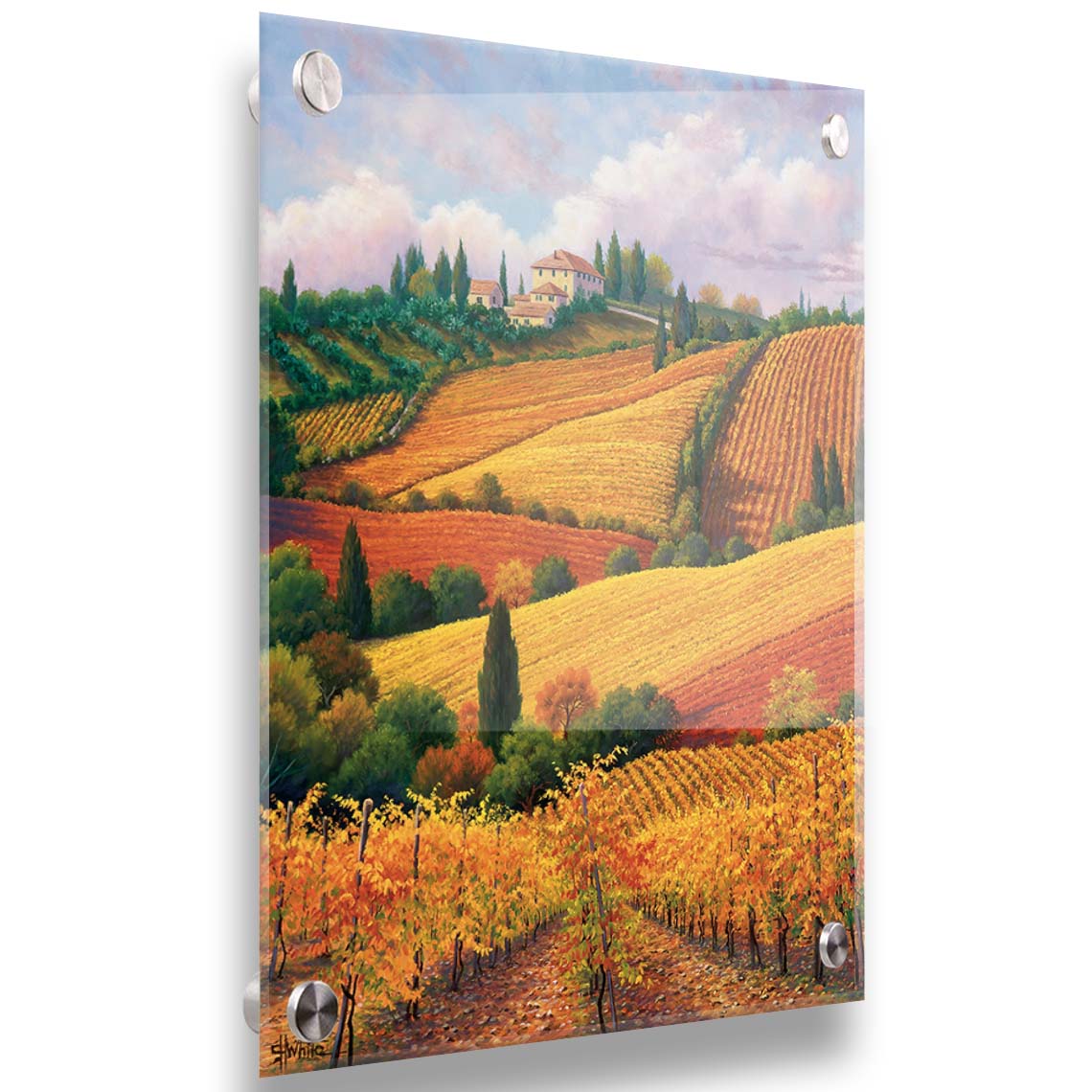 A painting of the Tuscany countryside. All the visible land has been turned into crop fields, with rows of grape vines in the foreground. On the hills in the distance site a series of white buildings. Printed on acrylic.