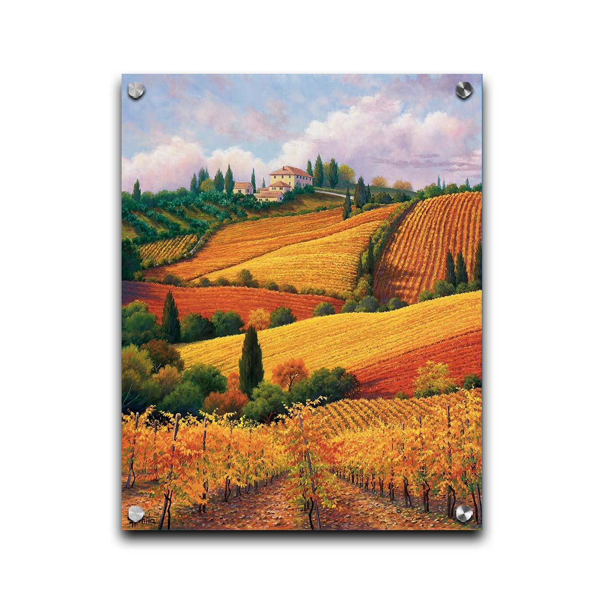 A painting of the Tuscany countryside. All the visible land has been turned eto crop fields, with rows of grape vines in the foreground. On the hills in the distance site a series of white buildings. Printed on acrylic.