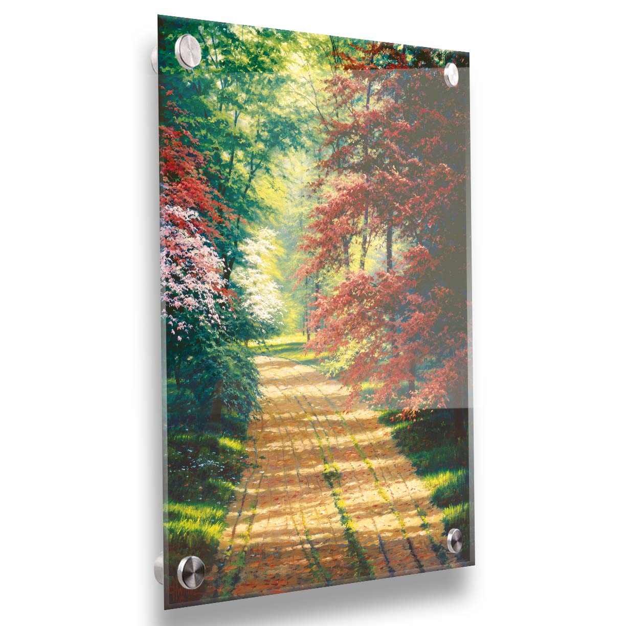 A painting of a dirt path through a spring woodland. Vibrant green trees grow alongside red japanese maples and pink and white blossoms. Printed on acrylic.