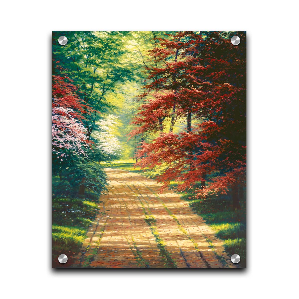 A painting of a dirt path through a spring woodland. Vibrant green trees grow alongside red japanese maples and pink and white blossoms. Printed on acrylic.