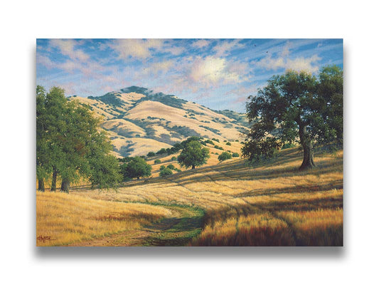 A painting of Mount Diablo, California, with grassy trails stretching into the distance. Printed on canvas.