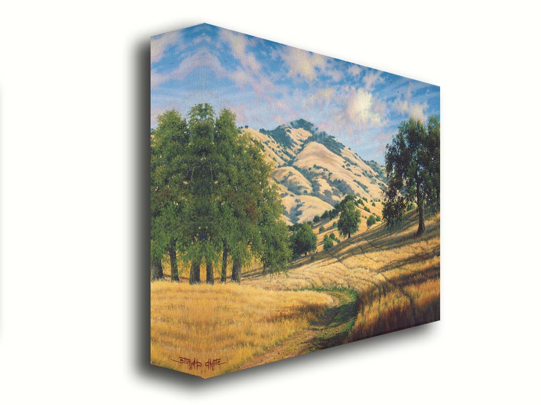 A painting of Mount Diablo, California, with grassy trails stretching into the distance. Printed on canvas.